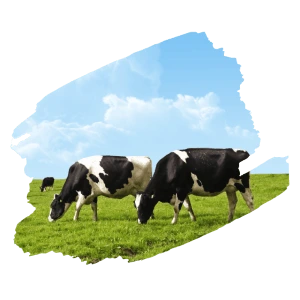 livestock-image